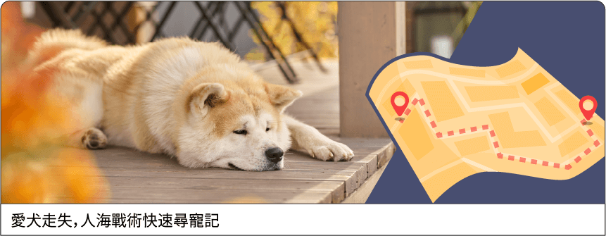 愛犬走失，人海戰術快速尋寵記